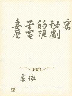 妻子的秘密是什么电视剧 妻子的秘密是什么电视剧