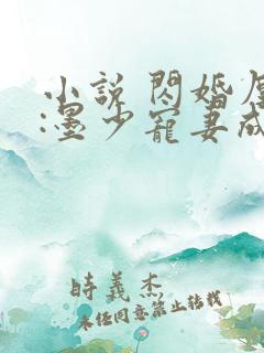 小说 闪婚厚爱:墨少宠妻成瘾