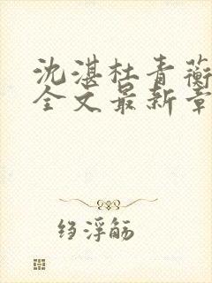 沈湛杜青蘅小说全文最新章节更新