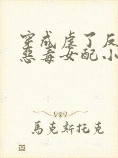 穿成虐了反派的恶毒女配小说