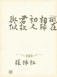 与君初相识,恰似故人归在线观看