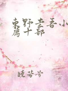 东野圭吾小说推荐十部 东野圭吾小说推荐十部
