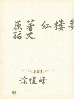 原著 红楼梦白话文