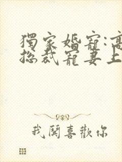 独家婚宠:高冷总裁宠妻上瘾
