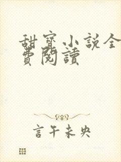 甜宝小说全文免费阅读