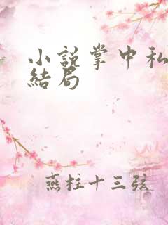 小说掌中私宠大结局