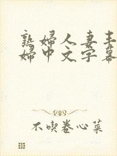 熟妇人妻丰满少妇中文字幕国产av