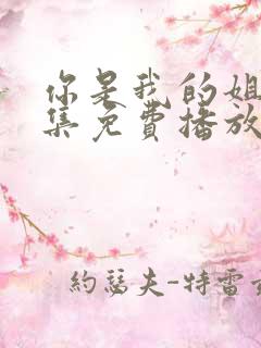 你是我的姐妹全集免费播放电视剧