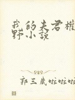 我的夫君权倾朝野小说