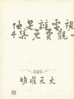 他是谁电视剧24集免费观看