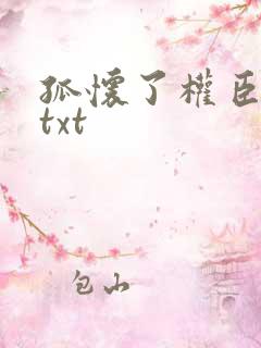 孤怀了权臣的崽txt