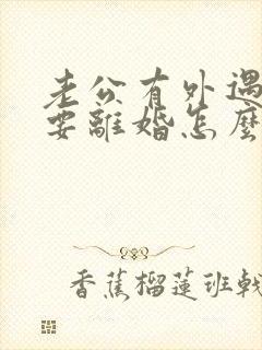 老公有外遇坚决要离婚怎么办
