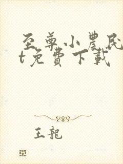 至尊小农民txt免费下载