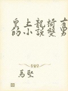 皇上龙椅有木棒的小说双男主小说
