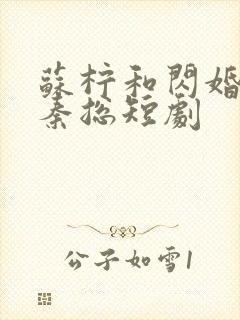 苏柠和闪婚老公秦总短剧
