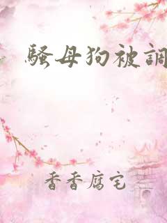骚母狗被调教