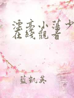 漂亮小荡少妇2在线观看