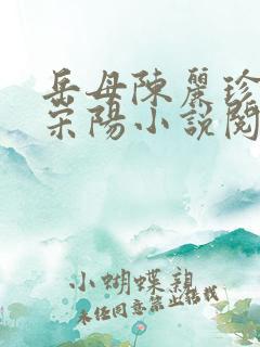 岳母陈丽珍女婿宋阳小说阅读