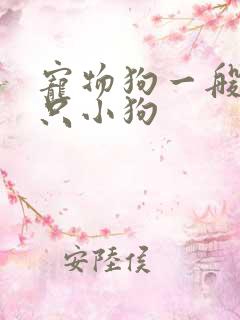 宠物狗一般生几只小狗