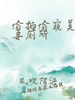 偷拍偷窥美女夫妻厕所