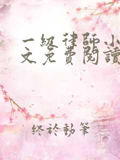 一级律师小说全文免费阅读正版