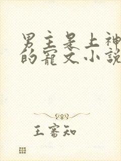 男主是上神帝君的宠文小说