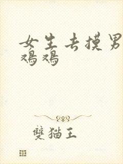 女生去摸男生的鸡鸡