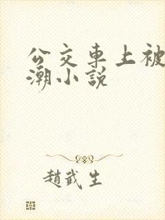 公交车上被插高潮小说