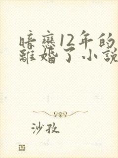 暗恋12年的他离婚了小说免费阅读