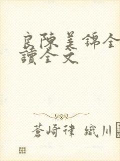 良陈美锦全文阅读全文