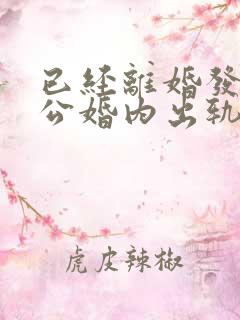 已经离婚发现老公婚内出轨
