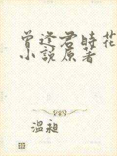 曾逢君时花照眼小说原著