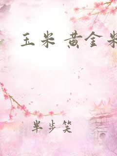 玉米 黄金米