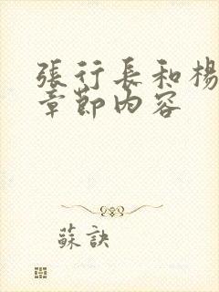 张行长和杨雨婷章节内容