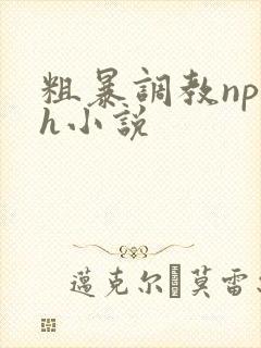 粗暴调教np高h小说