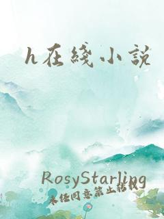h在线小说