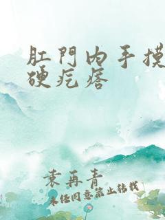 肛门内手摸有个硬疙瘩