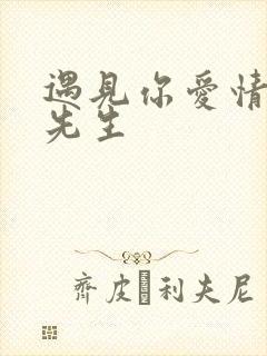 遇见你爱情的利先生