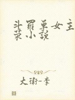 斗罗单女主宁荣荣小说