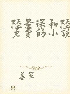 陆景琛和陆晚晚免费的小说 陆景琛和陆晚晚免费的小说