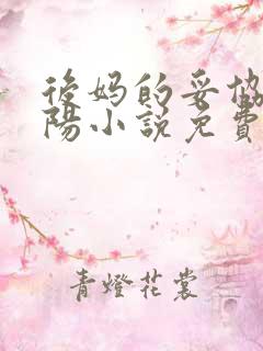 后妈的妥协李小阳小说免费阅读