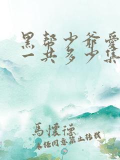 黑帮少爷爱上我一共多少集