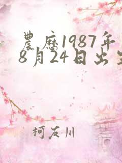 农历1987年8月24日出生八字算命
