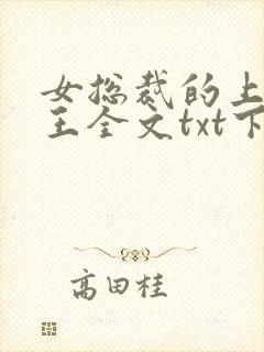 女总裁的上门兵王全文txt下载