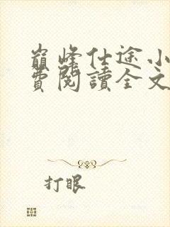 巅峰仕途小说免费阅读全文