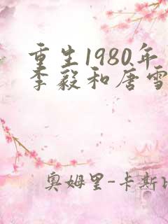 重生1980年李毅和唐雪电视剧