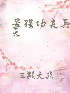 最强功夫兵王唐天