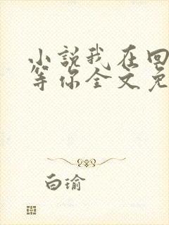 小说我在回忆里等你全文免费阅读
