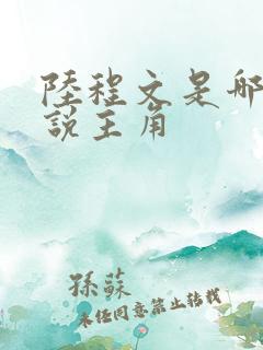 陆程文是哪本小说主角 陆程文是哪本小说主角