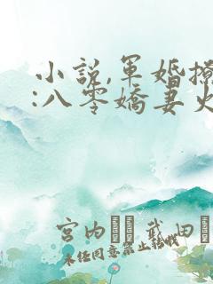 小说,军婚撩人:八零娇妻火辣辣 小说,军婚撩人:八零娇妻火辣辣